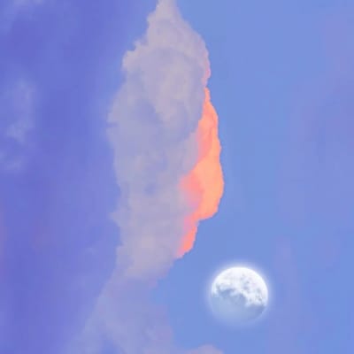 طارق علی avatar