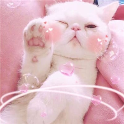 عمران خان avatar